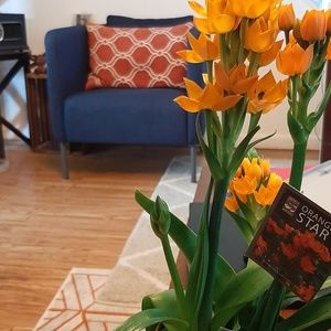 Meet your Posher, Jess